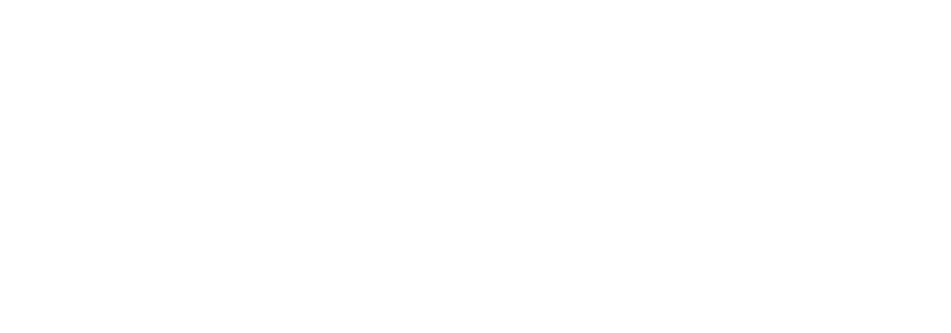 Women Sunset Party Logo